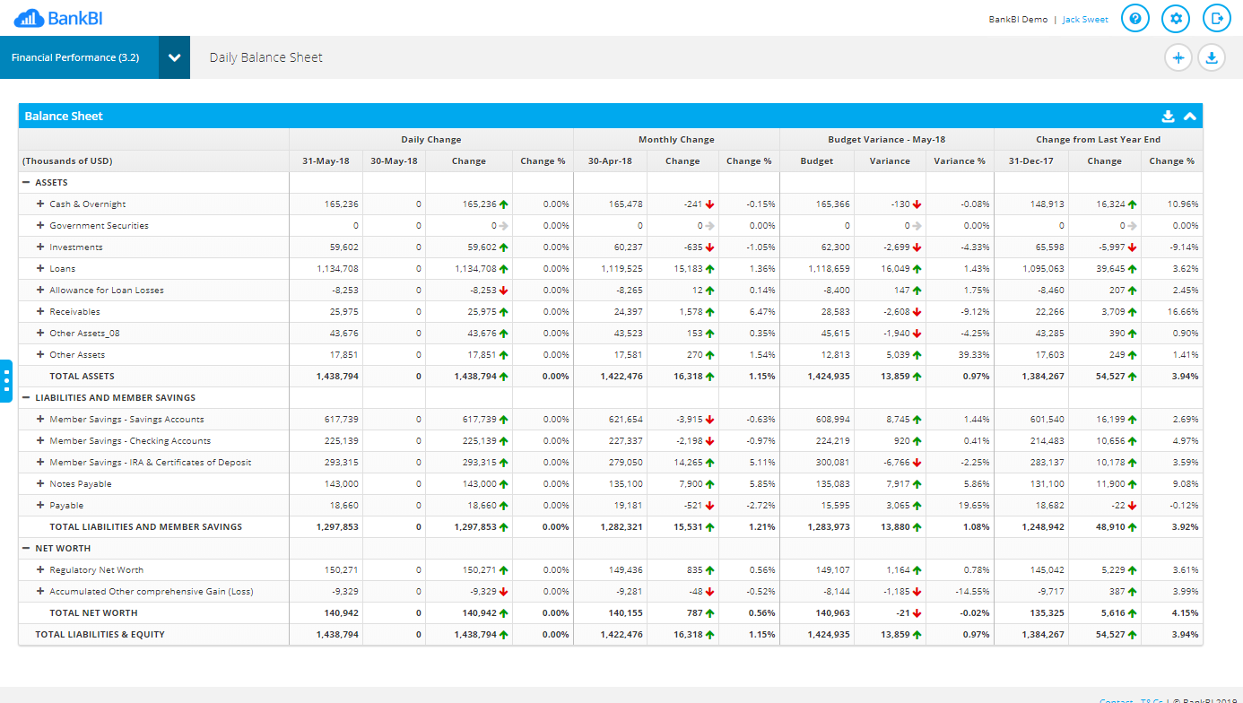 Financial performance daily balance sheet